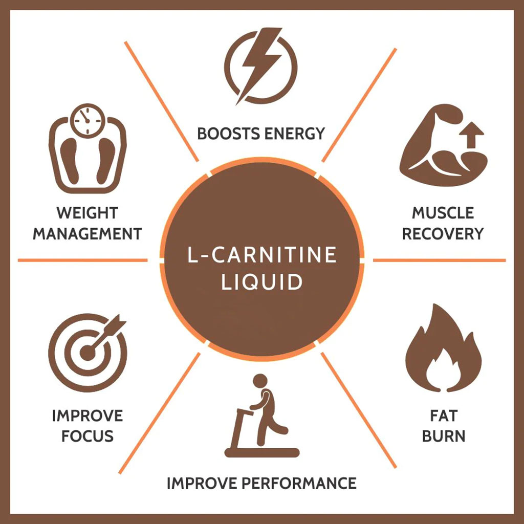 Marnys L-Carnitine 2000 mg/11 mL Vial 20's
