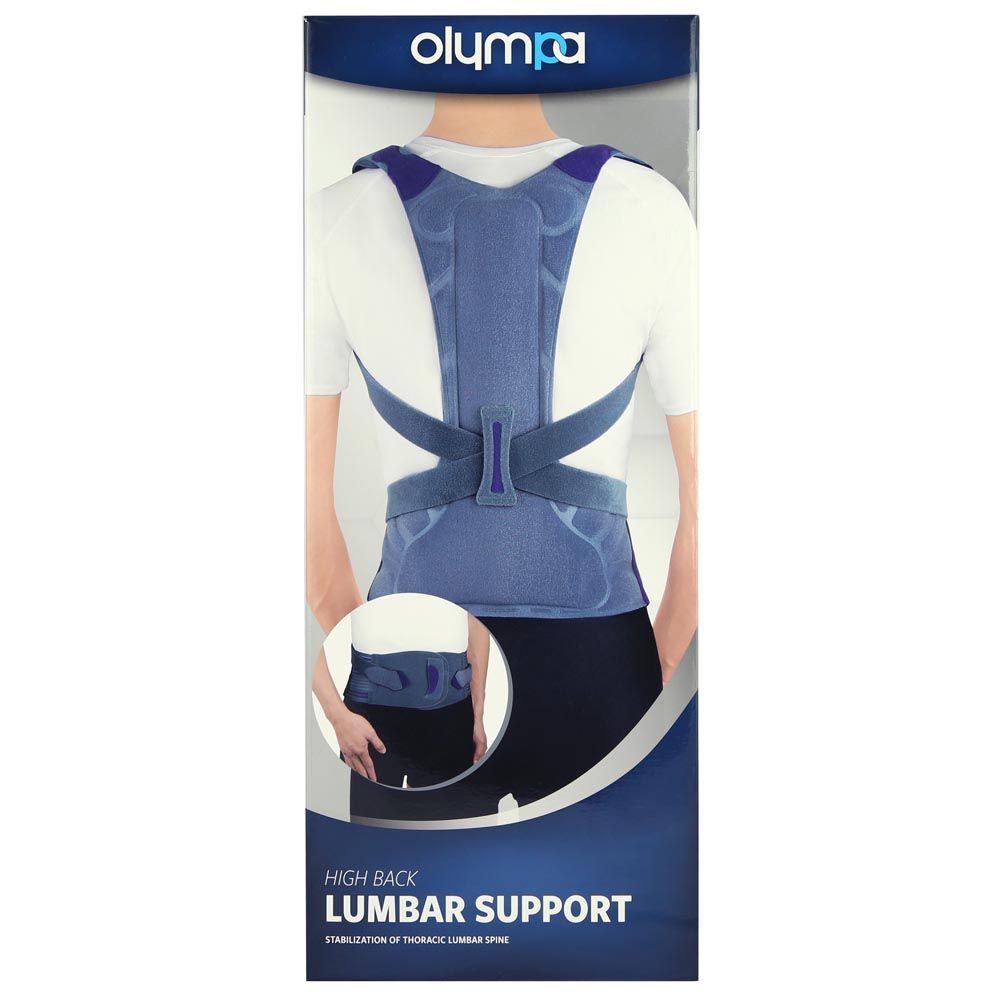 Olympa High Back Lumbar Support Grey Small/Medium OOH-111