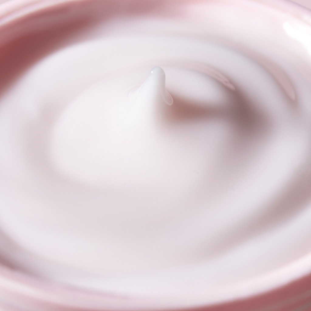 Isdin Isdinceutics Renew Hyaluronic Moisture Face Cream For Sensitive And Redness-prone Skin 50g