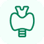 Thyroid